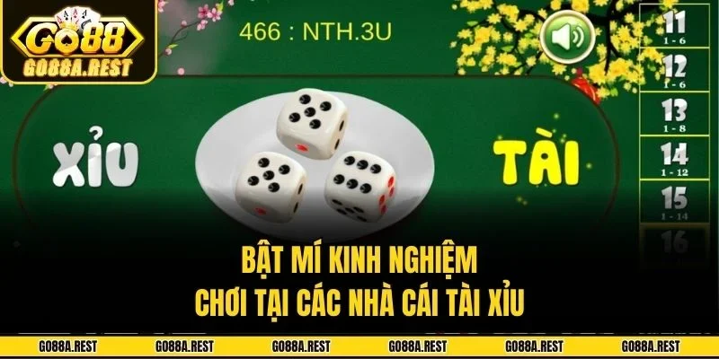 Bật mí kinh nghiệm chơi tại các nhà cái tài xỉu